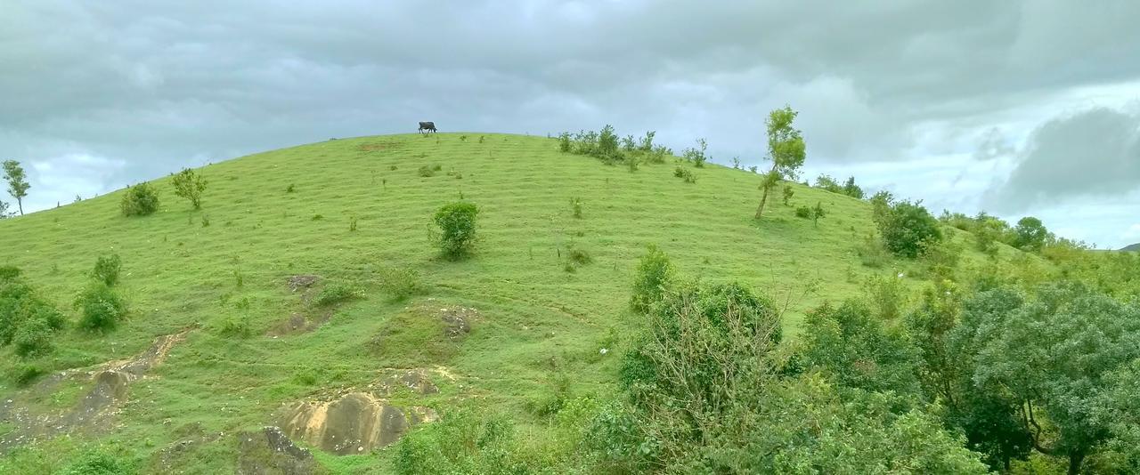 Hotel Vagamon Clouds Exterior foto